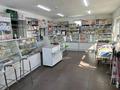 Магазины и бутики, медцентры и аптеки • 100 м² за 350 000 〒 в Талдыкоргане — фото 3