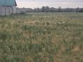 Участок · 10 соток, Майкы би за ~ 3.3 млн ₸ в Нура