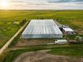 Прибыльная, действующая теплица · 4000 м² за 550 млн ₸ в Байсерке — фото 8