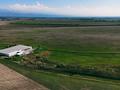 Прибыльная, действующая теплица · 4000 м² за 550 млн ₸ в Байсерке — фото 25