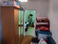 Отдельный дом · 3 комнаты · 60 м² · 3.3 сот., Ногобая 20 за 9 млн ₸ в Усть-Каменогорске — фото 19