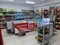 Магазины и бутики • 90 м² за 25 млн 〒 в Астане, Сарыарка р-н — фото 7