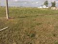Жер телімі 8 сотық, Дачный массив за коянды, бағасы: 1.5 млн 〒 в Астане, Алматы р-н — фото 3