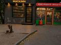 Магазины и бутики · 20 м² за 39.9 млн ₸ в Астане, Сарыарка р-н