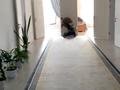 Отдельный дом · 7 комнат · 370 м² · 16 сот., Тарбағатай 31 — Наурыз поворот за 50 млн ₸ в Каргалы (п. Фабричный) — фото 12