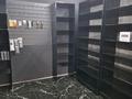 Еркін · 200 м², бағасы: 69.5 млн ₸ в Шымкенте, Туран р-н — фото 8