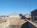 Участок · 8 соток, мкр Ынтымак , Каган 11 за 15 млн ₸ в Шымкенте, Абайский р-н — фото 2