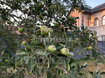 Дача · 3 комнаты · 50 м² · 8 сот., мкр Таусамалы 13 — Жандосова Яссауи за 70 млн 〒 в Алматы, Наурызбайский р-н