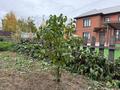 Дом · 8 комнат · 300 м², мкр Пригородный, Жайсан 1а за 300 000 ₸ в Астане, Есильский р-н