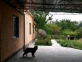 Жеке үй · 5 бөлме · 120 м² · 8 жүзд., Каратюбинское шоссе 13 — Каратюбинское шоссе остановка общежитие., бағасы: 110 млн ₸ в Шымкенте, Енбекшинский р-н — фото 3