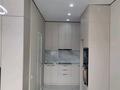 1-бөлмелі пәтер · 26.5 м² · 2/5 қабат, Басаркобыз 1/15, бағасы: 19 млн ₸ в Алматы, Алатауский р-н — фото 2