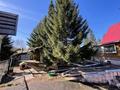 Жеке үй · 4 бөлме · 240.1 м² · 12 сот., Мкр Солнечный, бағасы: 40 млн ₸ в Петропавловске — фото 6