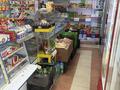 Дүкендер мен бутиктер · 60 м², бағасы: 200 000 ₸ в Шымкенте, Аль-Фарабийский р-н — фото 2