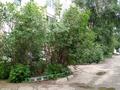 3-бөлмелі пәтер · 65 м² · 4/5 қабат, Горького 6, бағасы: 170 000 ₸ в Кокшетау