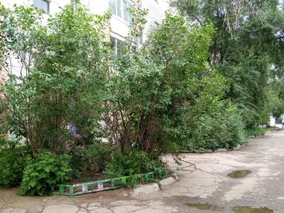 3-бөлмелі пәтер · 65 м² · 4/5 қабат, Горького 6, бағасы: 170 000 ₸ в Кокшетау