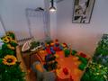 Қоғамдық тамақтану орны, ойын-сауық · 207 м², бағасы: 2 млн 〒 в Астане, Сарайшык р-н — фото 6