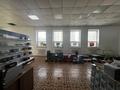 Свободное назначение · 113 м² за 350 000 ₸ в Кокшетау — фото 5