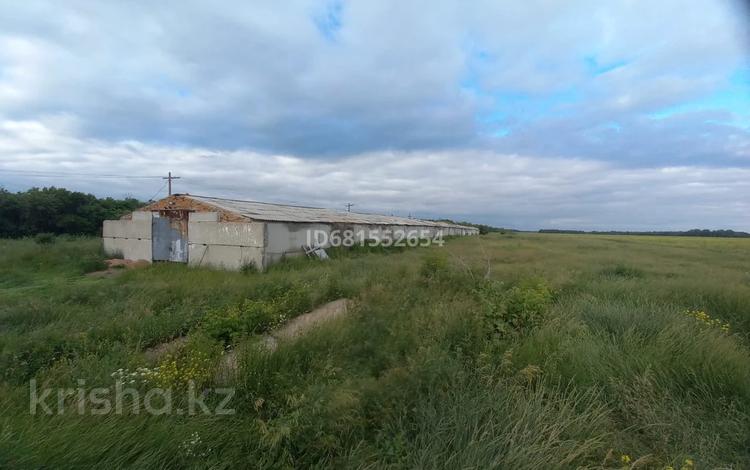Промбаза · 30 соток, Поселок Станционный, Кокшетау-2 1 за 27 млн ₸ — фото 21
