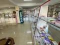 Магазины и бутики, медцентры и аптеки • 1180 м² за ~ 400 млн 〒 в Атырау, пгт Балыкши — фото 35