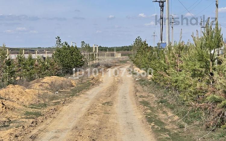 Жер телімі · 10.5 сотық, Казанат — Выход к лесу, бағасы: 13 млн ₸ в Аккайын — фото 13