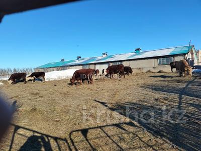 Сельское хозяйство · 70000 м², бағасы: 80 млн 〒 в Актобе