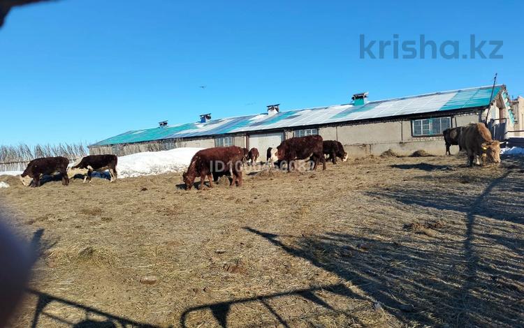 Сельское хозяйство · 70000 м², бағасы: 80 млн 〒 в Актобе — фото 2