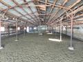 Сельское хозяйство · 70000 м², бағасы: 80 млн 〒 в Актобе — фото 4