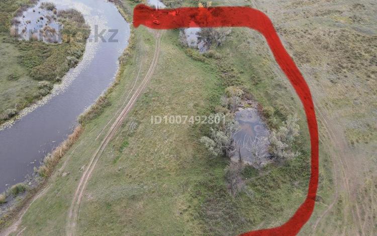 Участок · 1 га, Акколь за 25 млн 〒 — фото 2