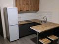 1-бөлмелі пәтер · 25 м² · 10/10 қабат, Сейфуллина 51 — Сейфуллина Кассина, бағасы: 180 000 ₸ в Алматы, Турксибский р-н — фото 10