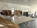 Свободное назначение, офисы · 482 м² за 100 млн ₸ в Астане, Алматы р-н — фото 6