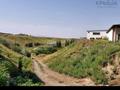 Сельское хозяйство • 8000 м² за 850 млн 〒 в Шымкенте, Каратауский р-н — фото 11