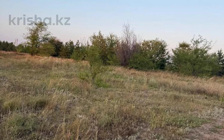 Участок · 10.5 соток, Тр, Костанай-Аулиеколь-Сурган 586 за 11 млн ₸ в Мичуринское — фото 2