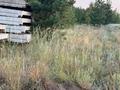 Участок · 10.5 соток, Тр, Костанай-Аулиеколь-Сурган 586 за 11 млн ₸ в Мичуринское — фото 7