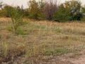 Участок · 10.5 соток, Тр, Костанай-Аулиеколь-Сурган 586 за 11 млн ₸ в Мичуринское — фото 8