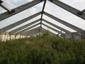 Өнеркәсіптік база · 9.18 сотық, С. Лесное, бағасы: 500 000 ₸ в Костанайской обл.