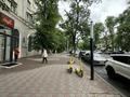 Свободное назначение, магазины и бутики, общепит · 295 м² за 5.5 млн ₸ в Алматы — фото 2