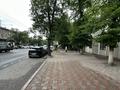Свободное назначение, магазины и бутики, общепит · 295 м² за 5.5 млн ₸ в Алматы — фото 3