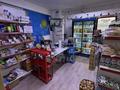 Свободное назначение, офисы, магазины и бутики, салоны красоты, образование, развлечения · 55 м² за 48 млн ₸ в Алматы, Наурызбайский р-н — фото 2