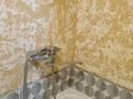 1-комнатная квартира · 17 м² · 3/4 этаж, мкр №5 за 180 000 ₸ в Алматы, Ауэзовский р-н — фото 6
