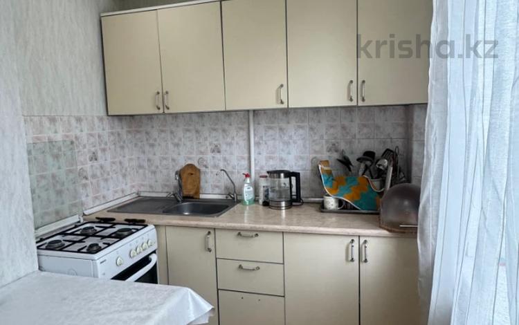 2-бөлмелі пәтер · 50 м² · 4/5 қабат, Жандосова 21 — Жарокова, бағасы: 300 000 ₸ в Алматы, Бостандыкский р-н — фото 12