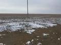 Участок · 10 соток, Тарбагатайский район, Тугылский сельский округ за 1 млн ₸ в Восточно-Казахстанской обл.