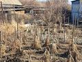 Дача · 2 комнаты · 22.1 м² · 6 сот., Тополиная 3 — Дачи Медьзавод, последняя остановка за 2 млн ₸ в Жезказгане — фото 12