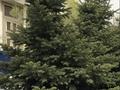 4-бөлмелі пәтер · 247 м² · 6/6 қабат, Рахмадиева 12, бағасы: 247 млн ₸ в Алматы, Бостандыкский р-н