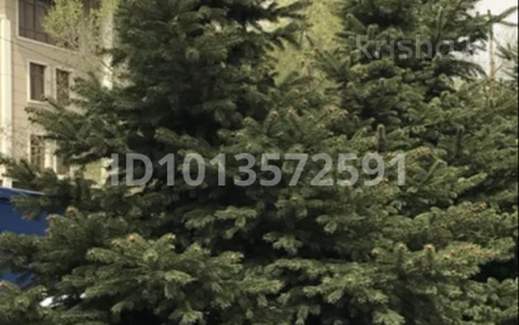 4-бөлмелі пәтер · 247 м² · 6/6 қабат, Рахмадиева 12, бағасы: 247 млн ₸ в Алматы, Бостандыкский р-н — фото 2
