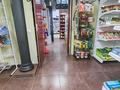 Магазины и бутики · 193.9 м² за 135 млн ₸ в Астане, Сарыарка р-н — фото 22