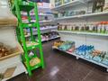 Магазины и бутики · 193.9 м² за 135 млн ₸ в Астане, Сарыарка р-н — фото 24