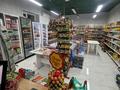Готовый бизнес продуктовый магазин · 100 м², бағасы: 37 млн ₸ в Астане, Нура р-н