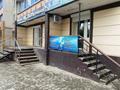 Дүкендер мен бутиктер · 80 м², бағасы: 75 млн ₸ в Костанае — фото 2