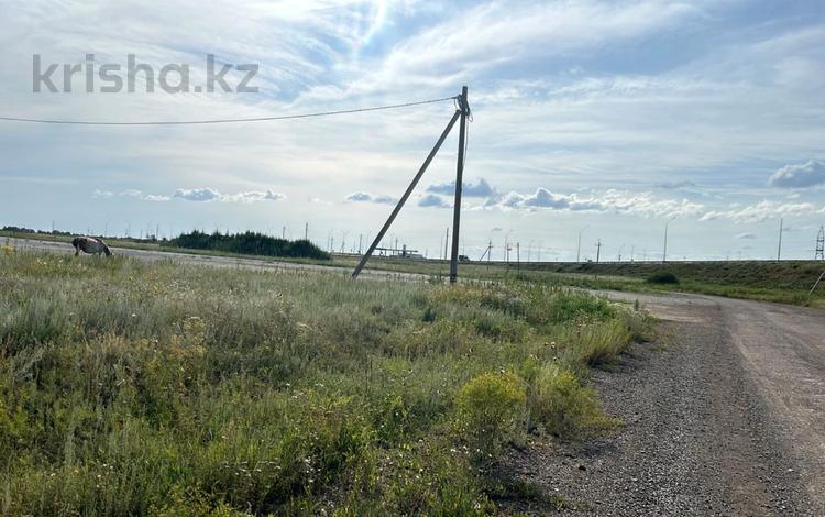Жер телімі · 10 сотық, Коянды, бағасы: 4.5 млн ₸ — фото 7