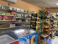 Магазины и бутики · 55 м² за 15 млн ₸ в Шымкенте, Енбекшинский р-н — фото 4